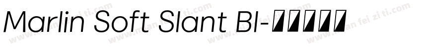 Marlin Soft Slant Bl字体转换